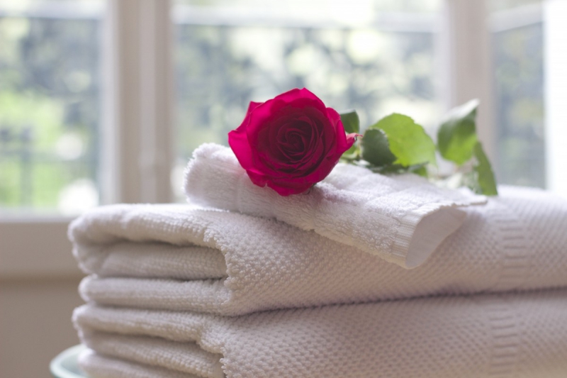 chambre-hote-VILLENEUVE D ENTRAUNES-min_towel_rose_clean_care_salon_spa_white_bath-731641